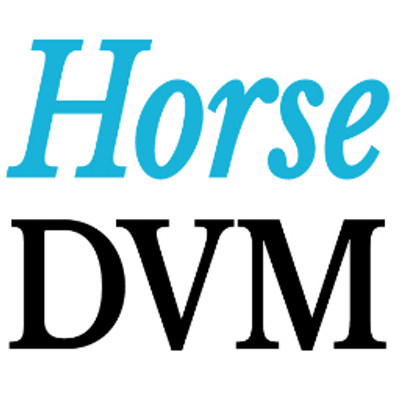 The HorseDVM