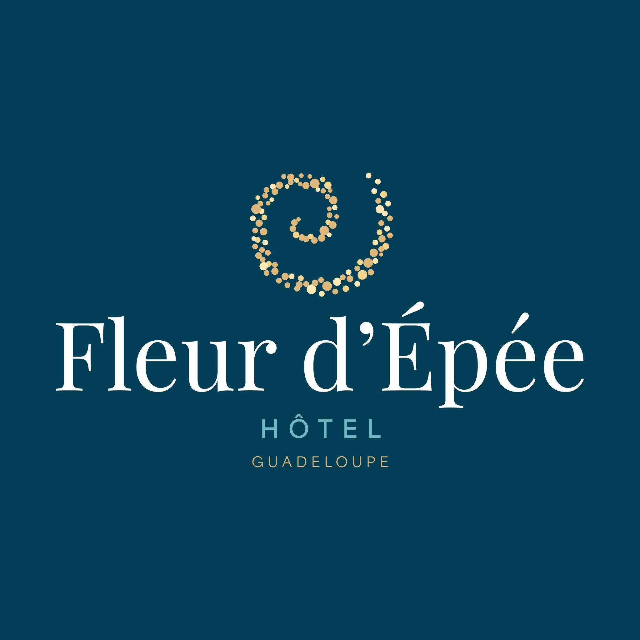 Hôtel Fleur d'Epée