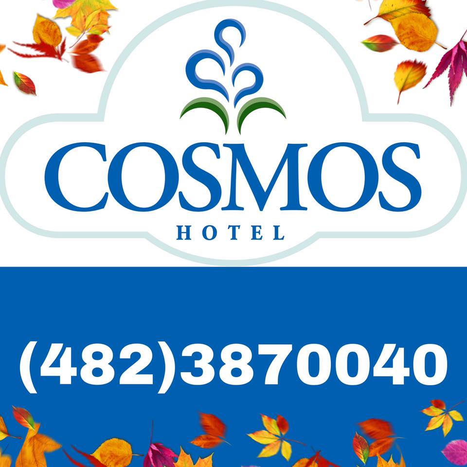 Hotel Cosmos