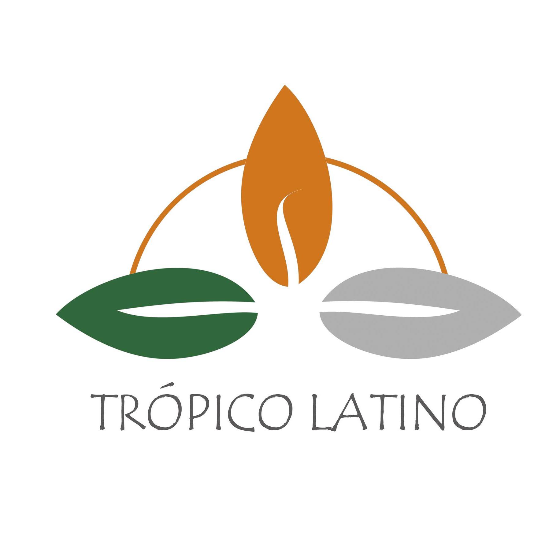 Hotel Tropico Latino