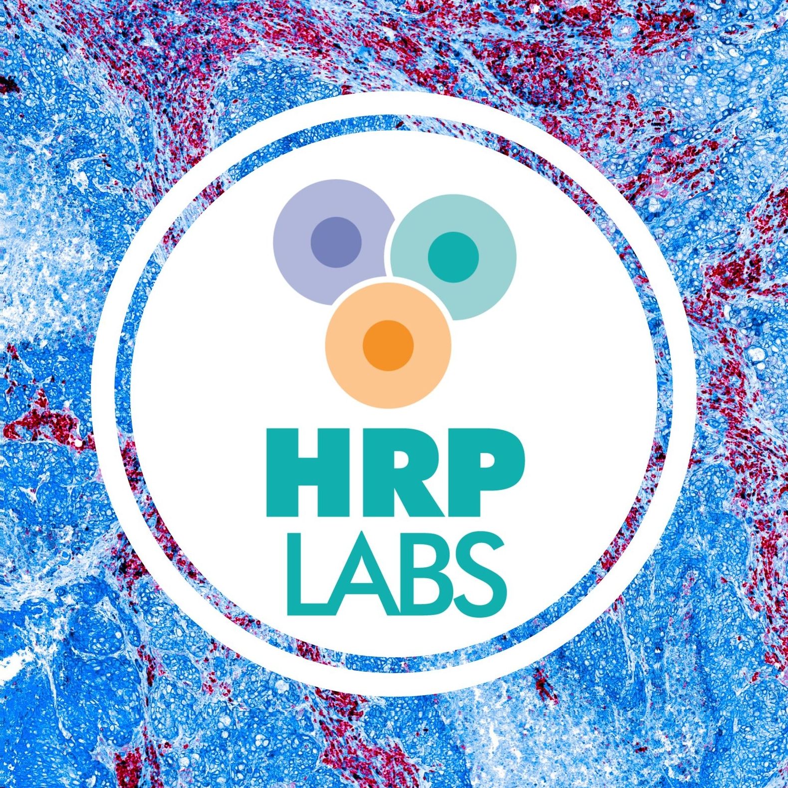 HRP Labs