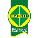 Hybrid Feeds