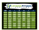 Hybrid Fitness Systems Hybrid Fitness Systems