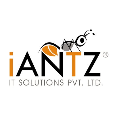 iANTZ IT Solutions