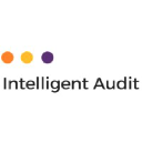 Intelligent Audit