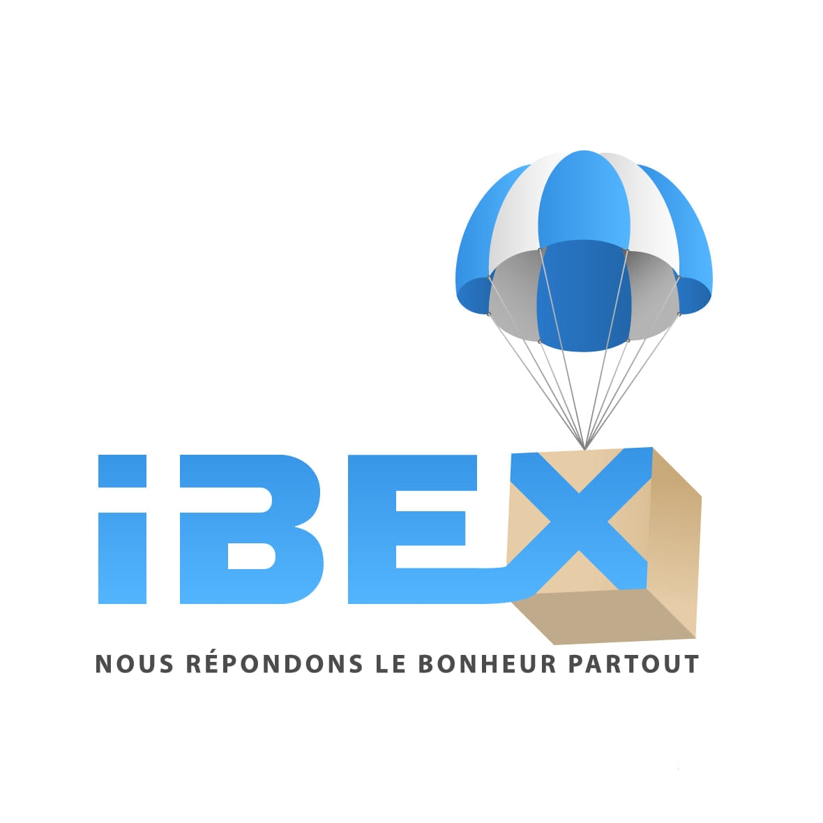 Ibex   It Services