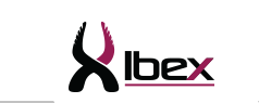 IBEX Group of Companies