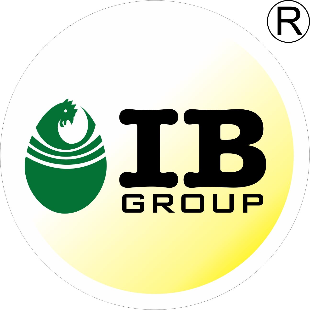 IB Group