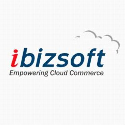 IBizSoft