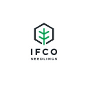 IFCO Seedlings