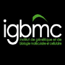 The IGBMC