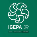 Igepa Paper Hungary