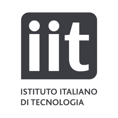 Italian Institute of Technology