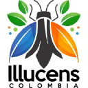 Illucens Colombia