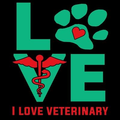 I Love Veterinary