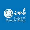 Institute of Molecular Biology