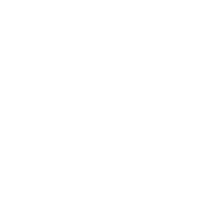 iM Global Partner