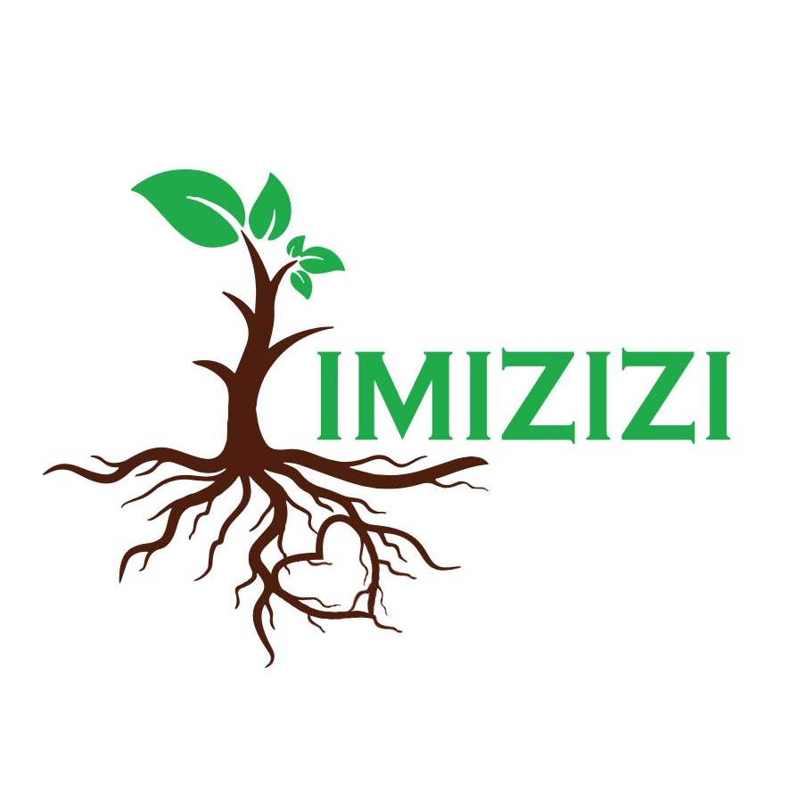 Imizizi