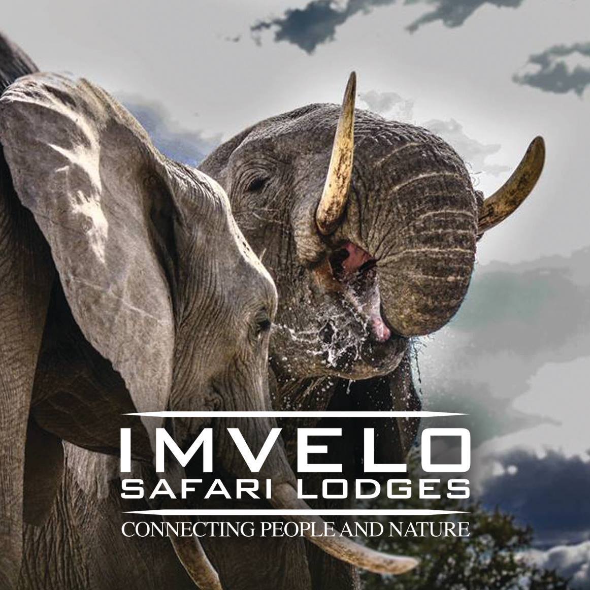 Imvelo Safari Lodges