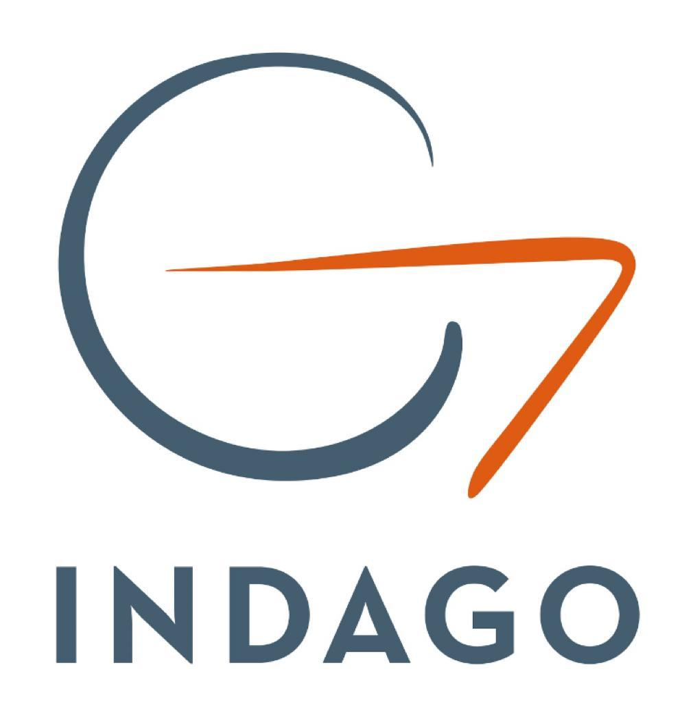 INDAGO Consultora