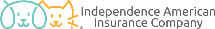 Independence American Insurance