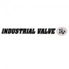 Industrial Valve