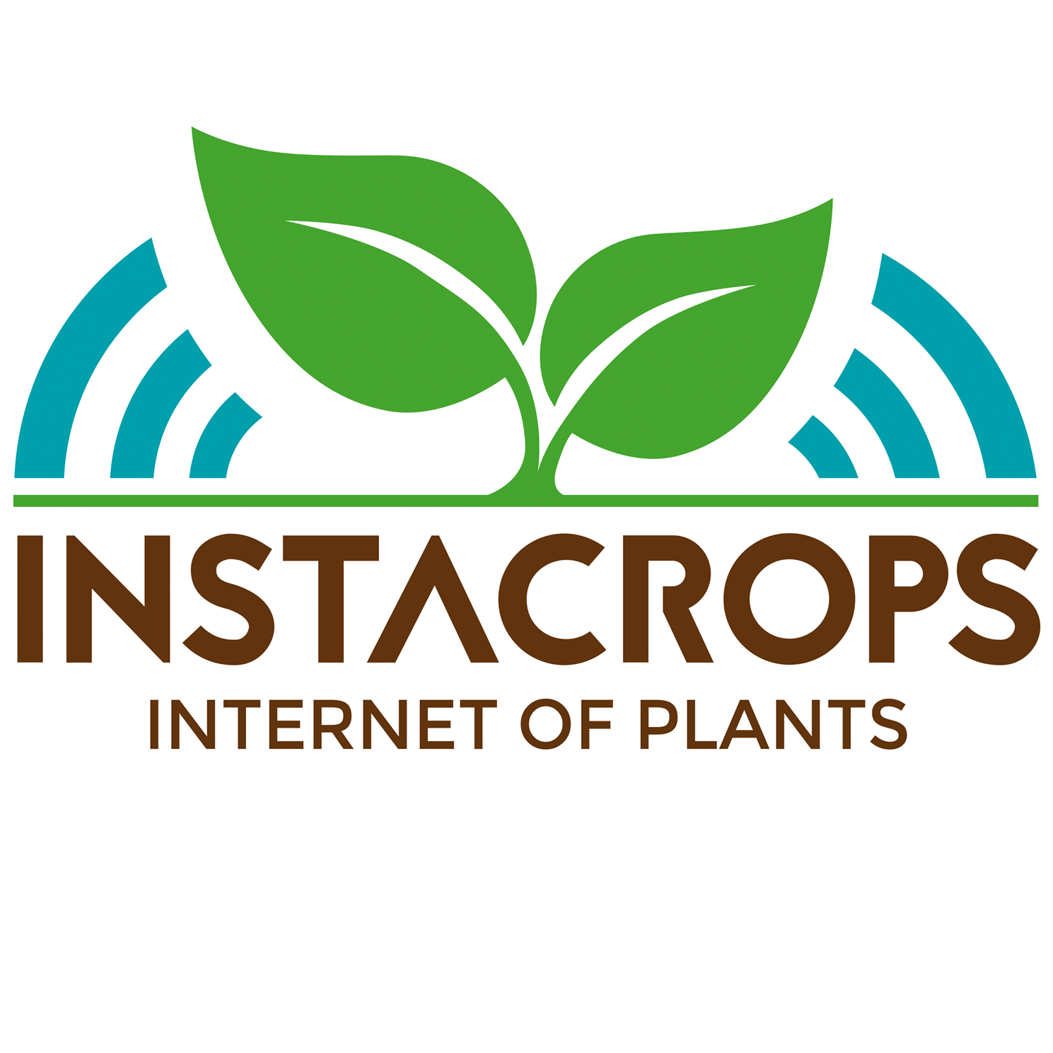 Instacrops