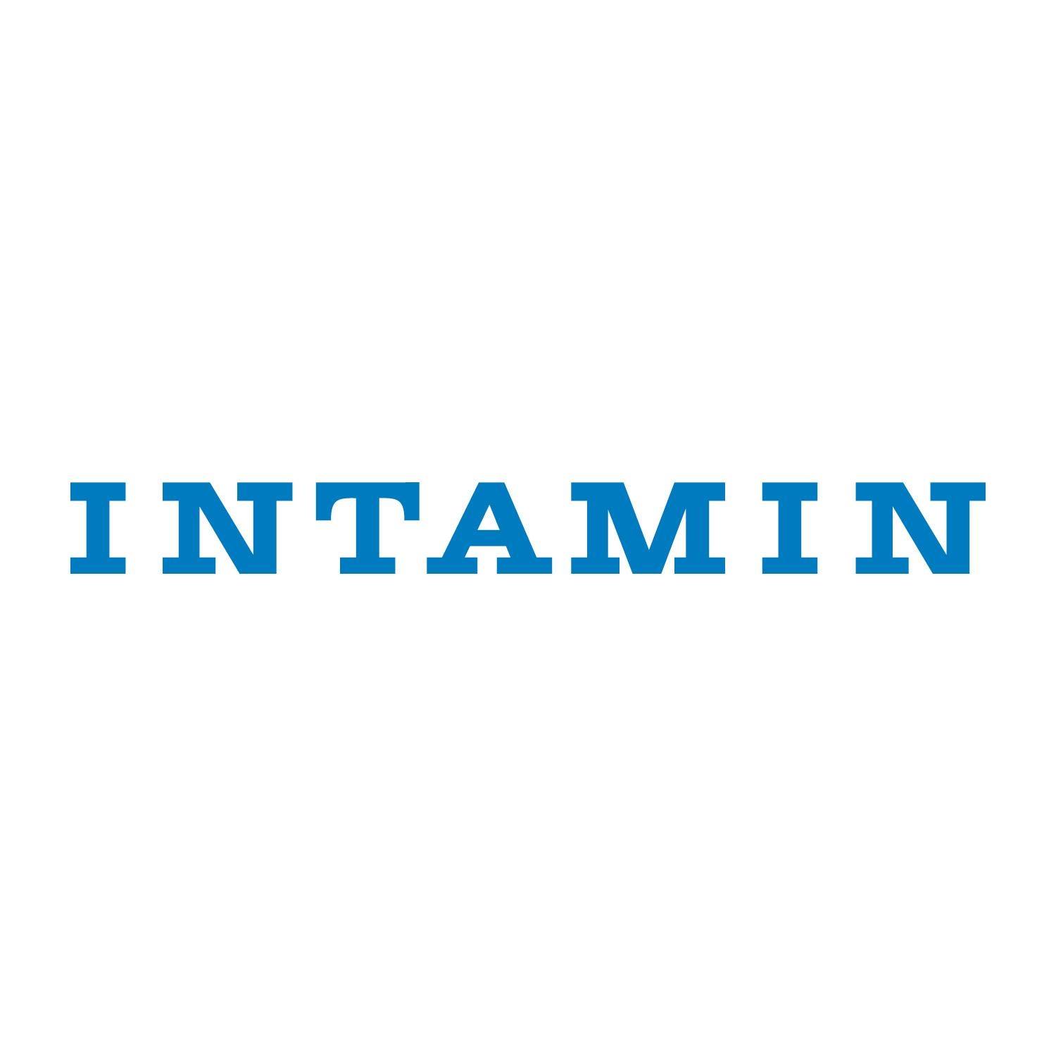 Intamin