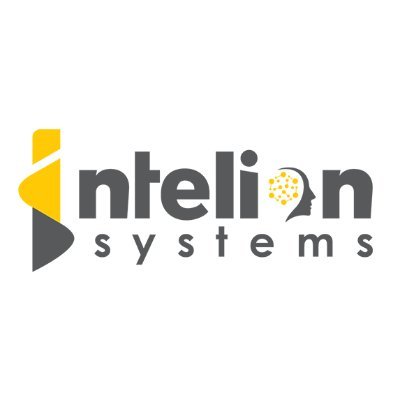 Intelion Systems