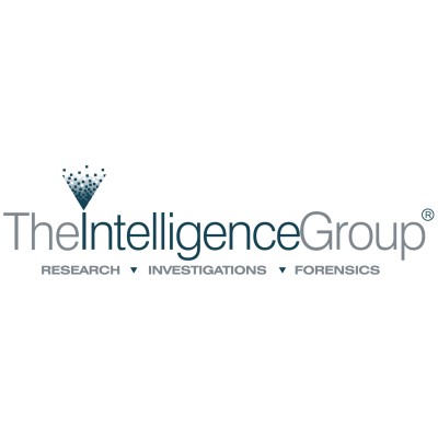 The Intelligence Group Llc