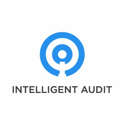 Intelligent Audit