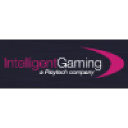 Intelligent Gaming