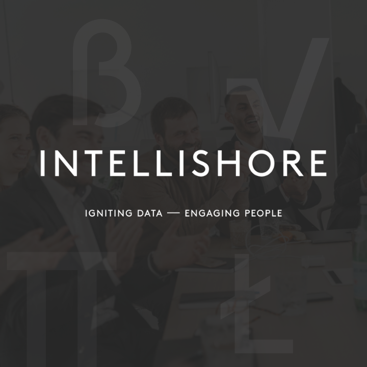 Intellishore