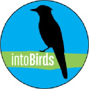 intoBirds