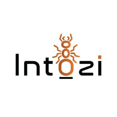 Intozi