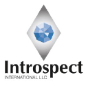 Introspect International