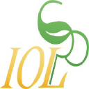 IOL Chemicals & Pharmaceuticals