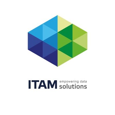 ITAM Solutions