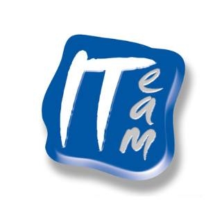 ITeam Consulting IT Services