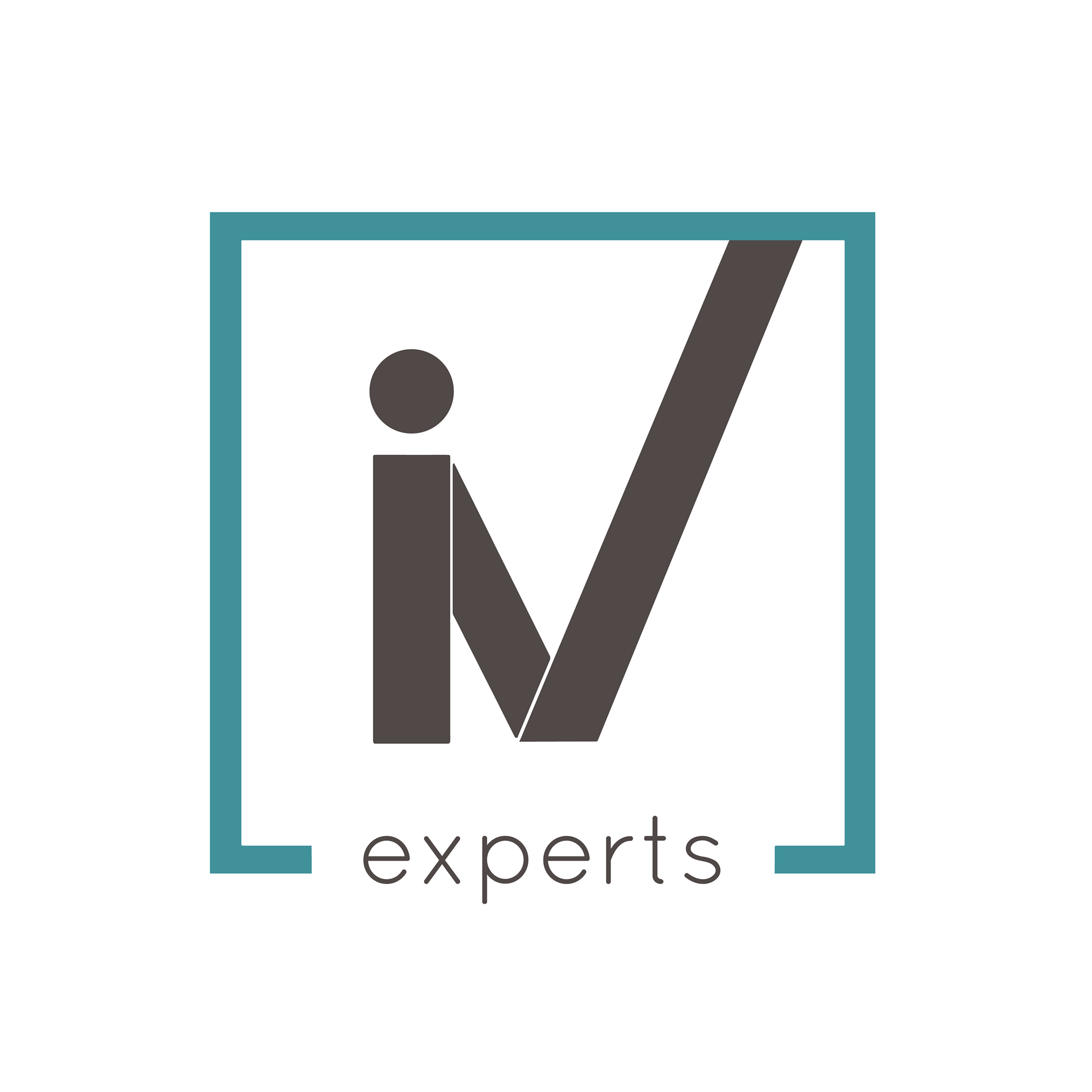 IV-experts.com