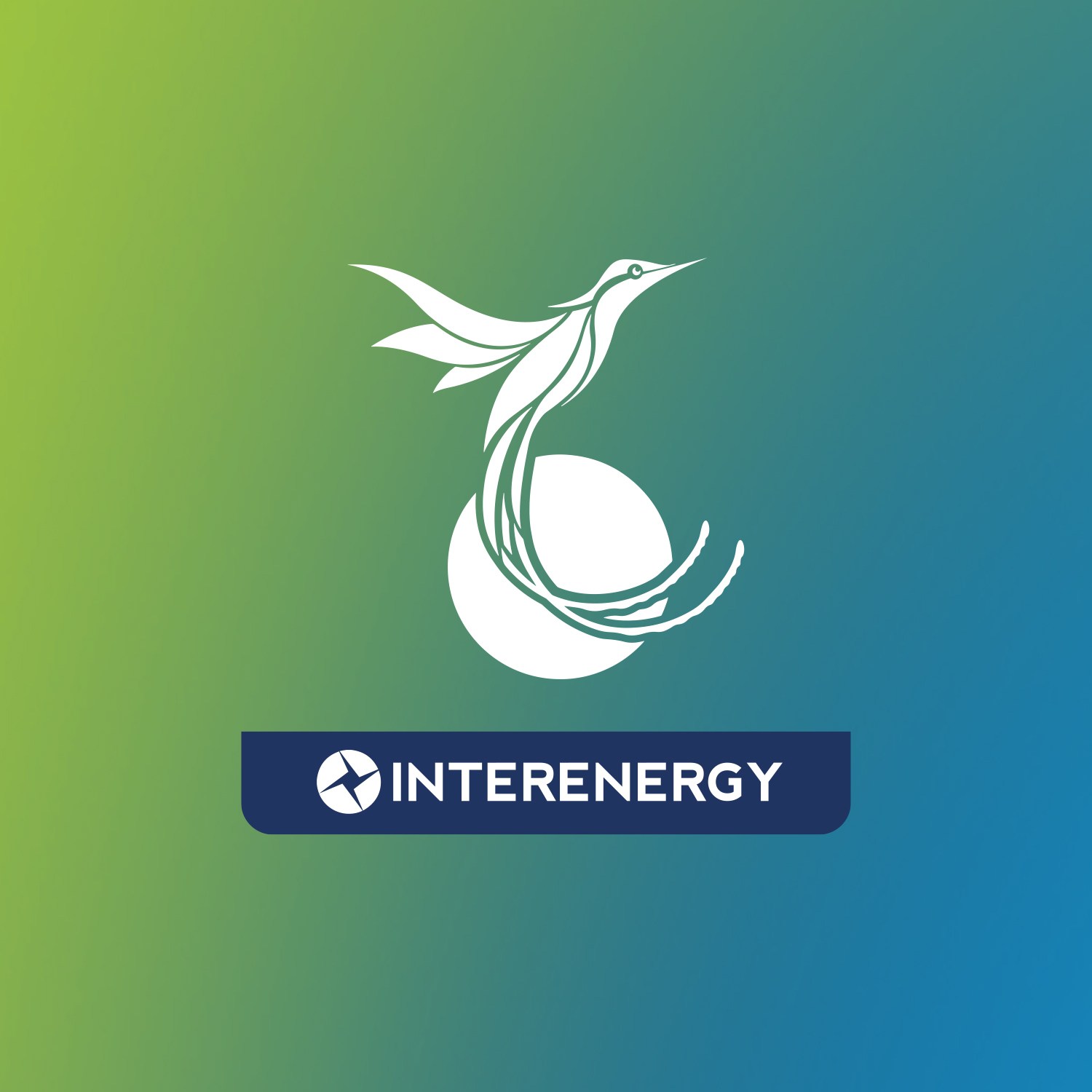 Jamaica Energy Partners
