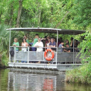 Jean Lafitte Swamp Tours