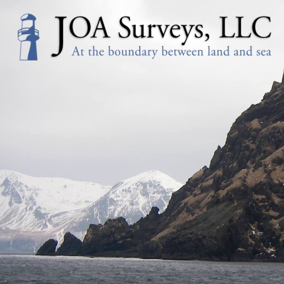 JOA Surveys