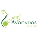 Just Avocados