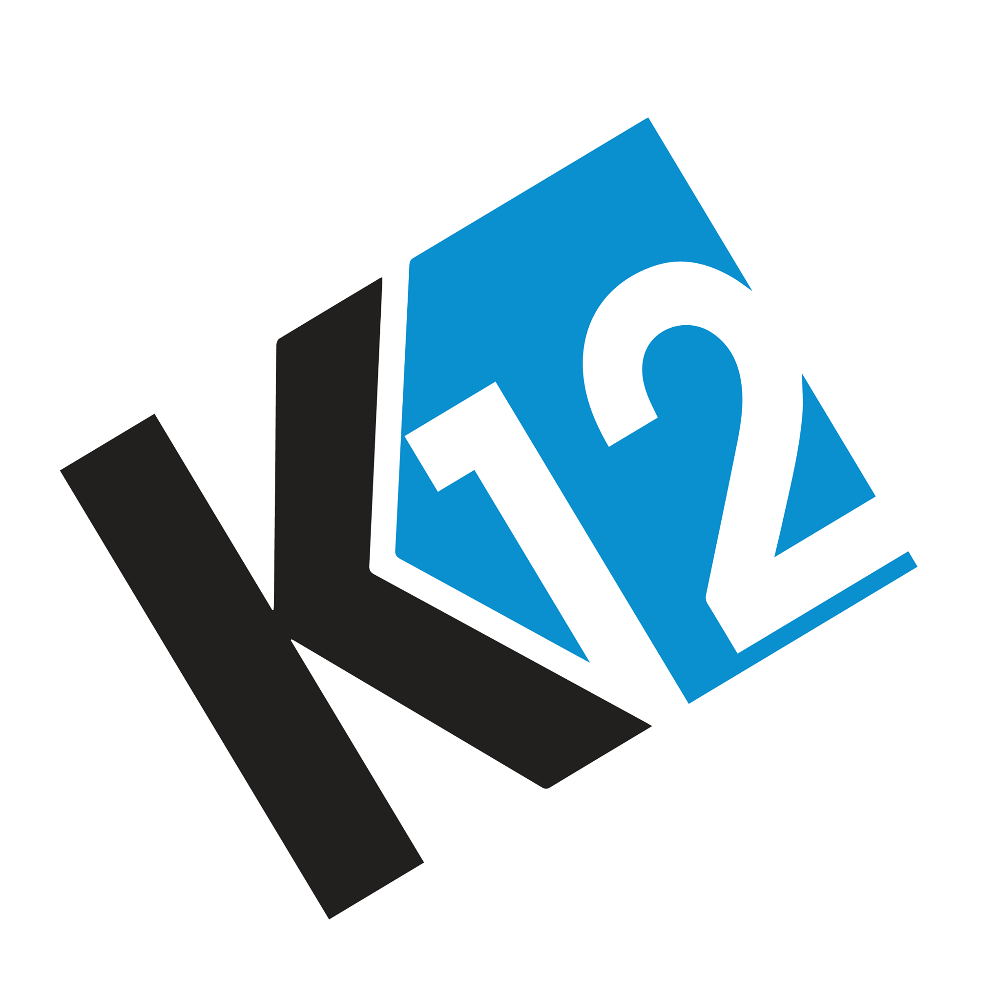 K12 Techno Services Pvt