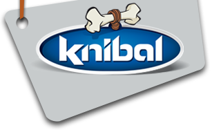 Kanibal Internet Solutions