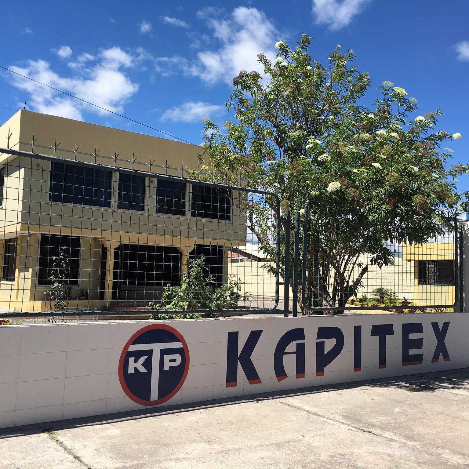 Kapitex & Asociados