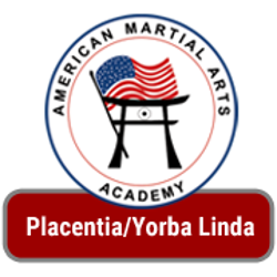 American Martial Arts Academy