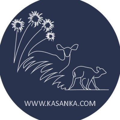 Kasanka Trust