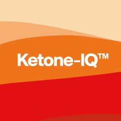 Ketone Automotive Inc